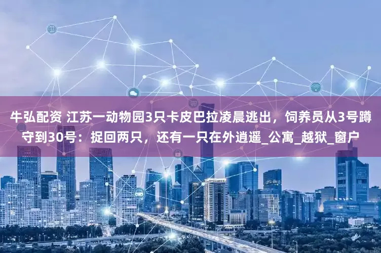 牛弘配资 江苏一动物园3只卡皮巴拉凌晨逃出，饲养员从3号蹲守到30号：捉回两只，还有一只在外逍遥_公寓_越狱_窗户