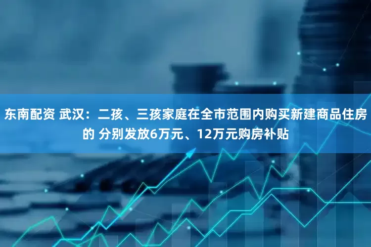 东南配资 武汉：二孩、三孩家庭在全市范围内购买新建商品住房的 分别发放6万元、12万元购房补贴