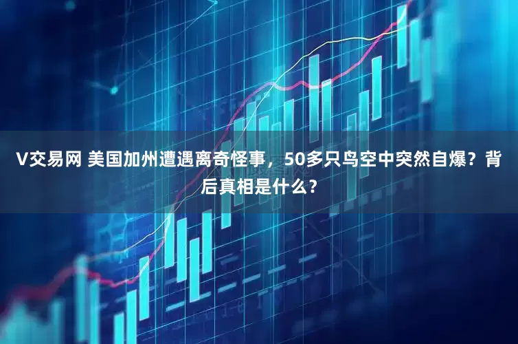 V交易网 美国加州遭遇离奇怪事，50多只鸟空中突然自爆？背后真相是什么？