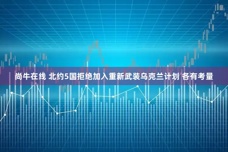 尚牛在线 北约5国拒绝加入重新武装乌克兰计划 各有考量