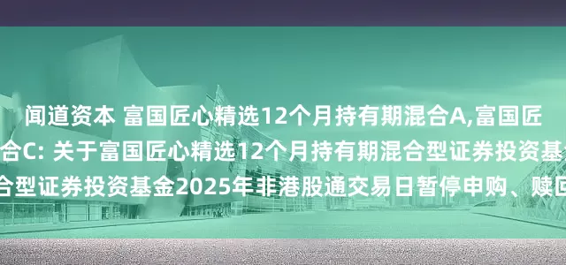 闻道资本 富国匠心精选12个月持有期混合A,富国匠心精选12个月持有期混合C: 关于富国匠心精选12个月持有期混合型证券投资基金2025年非港股通交易日暂停申购、赎回等业务的公告