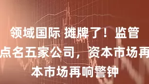 领域国际 摊牌了！监管一次性点名五家公司，资本市场再响警钟